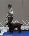 20130417-ob-0224