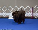 20130417-ob-0393