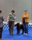 20130417-ob-0085