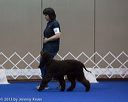 20130417-ob-0364