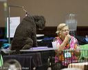 20130418-c-0017