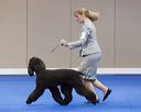20130418-sw-0238