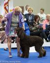 20130418-sw-0499