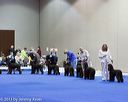 20130419-co-0798