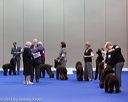 20130419-co-0801