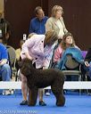 20130419-co-1022