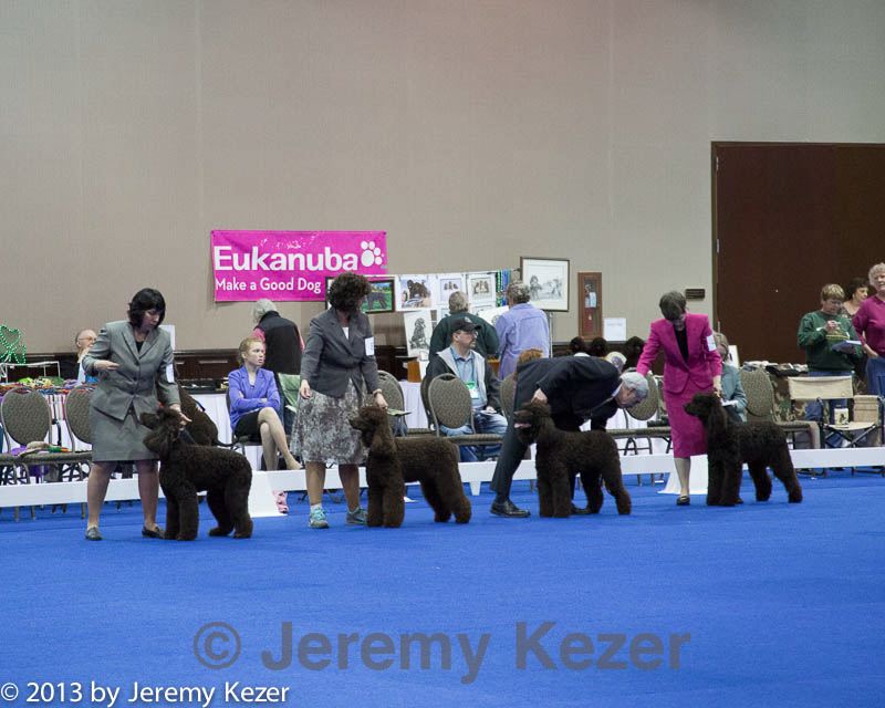 20130419-co-1200.jpg
