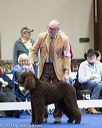 20130419-co-0764