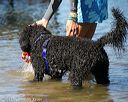 20130824-awd-0019