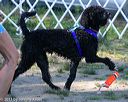 20130824-awd-0051