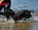 20130824-awd-0204