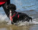 20130824-awd-0206