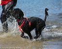 20130824-awd-0207