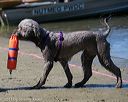 20130824-awd-0301