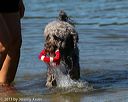20130824-awd-0304