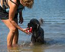 20130824-awd-0305