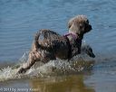 20130824-awd-0306