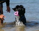 20130824-awd-0363