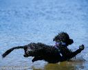 20130824-awd-0417