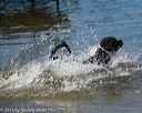 20130824-awd-0488