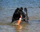 20130824-awd-0579
