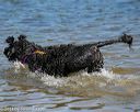 20130824-awd-0590