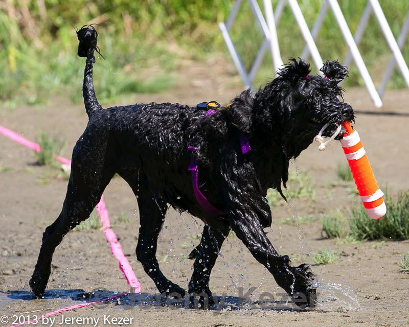 20130824-awd-0599.jpg