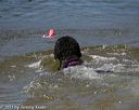 20130824-cwd-0005