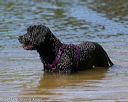 20130824-cwd-0041