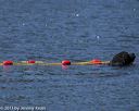 20130824-cwd-0051