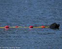 20130824-cwd-0053