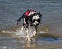 20130824-cwd-0085