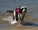 20130824-cwd-0088