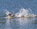 20130824-cwd-0112