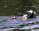 20130824-cwd-0124