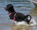 20130824-cwd-0138