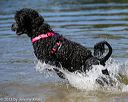 20130824-cwd-0139