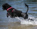 20130824-cwd-0140