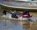 20130824-cwd-0146