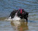 20130824-cwd-0170