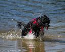 20130824-cwd-0172