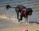 20130824-cwd-0177