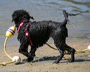 20130824-cwd-0181