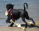 20130824-cwd-0184