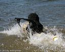 20130824-cwd-0189