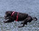 20130824-cwd-0198