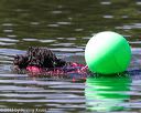 20130824-cwd-0219
