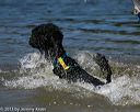 20130824-cwd-0238