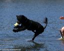 20130824-cwd-0245