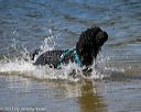 20130824-cwd-0251